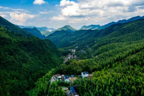 齭 ΢-:۽ ɫ չ,ƺ΢ľḳں